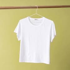 Women Typography Printed T-shirt